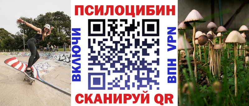Купить где  Сокол  Галлюциногенные грибы прущие грибы 
